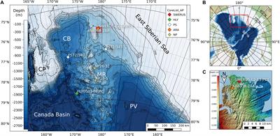 The Arctic Ocean Manganese Cycle, an Overlooked Mechanism in the Anomalous Palaeomagnetic Sedimentary Record